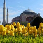Paket Tour Turki Lavender 2021